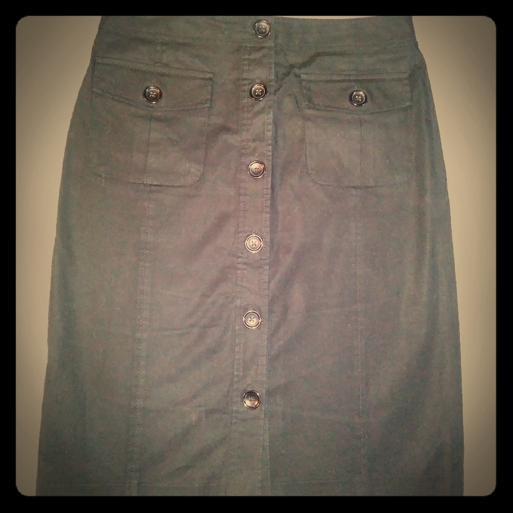 Banana Republic Skirt